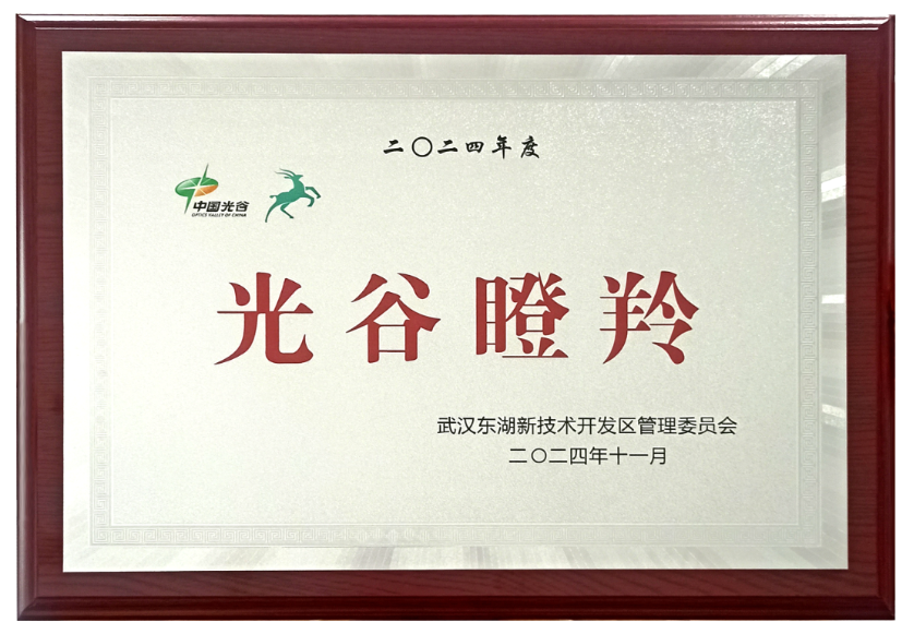 光谷瞪羚企業